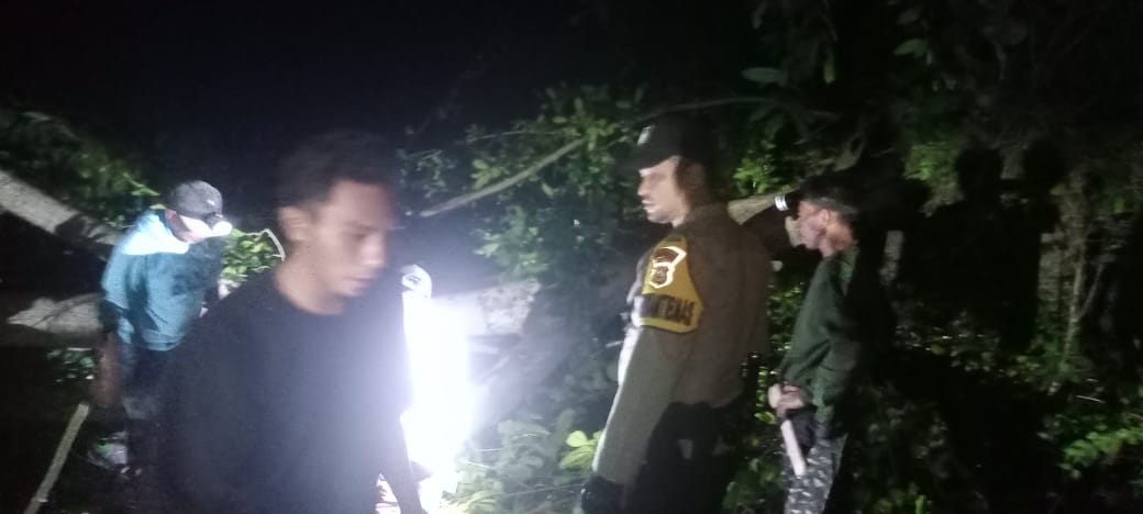 Gerak Cepat, Polsek Balantak Bersihkan Pohon Tumbang