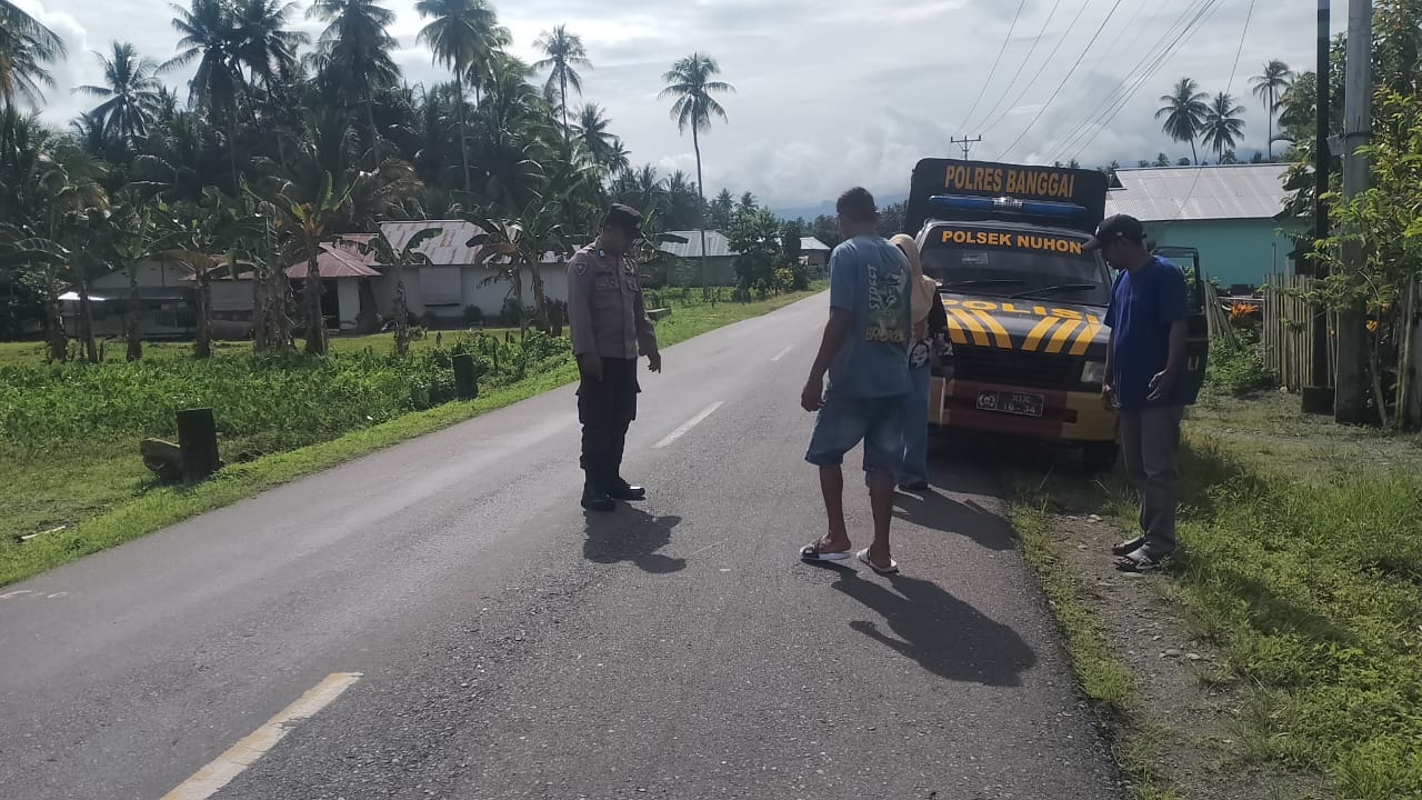 Tabrak Sapi, Pelajar di Nuhon Banggai Alami Luka, Polisi ke TKP