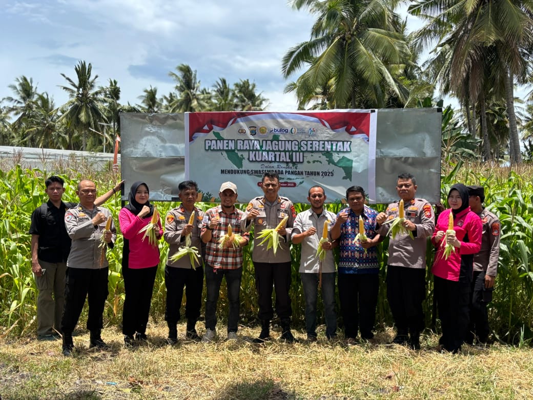 Polres Banggai dan Polsek Jajaran Gelar Panen Raya Kwartal III, Hasilkan 21 Ton Jagung