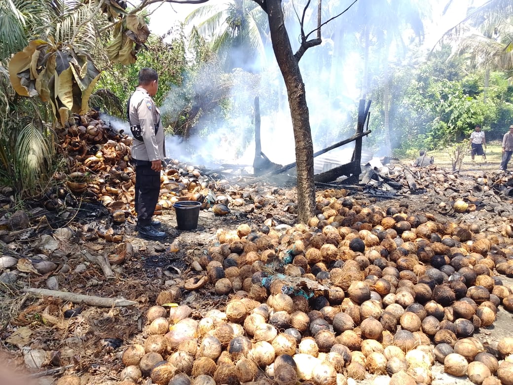 Bhabinkamtibmas Terjun TKP Kebakaran Lokasi Pembuatan Kopra diLuwuk Timur