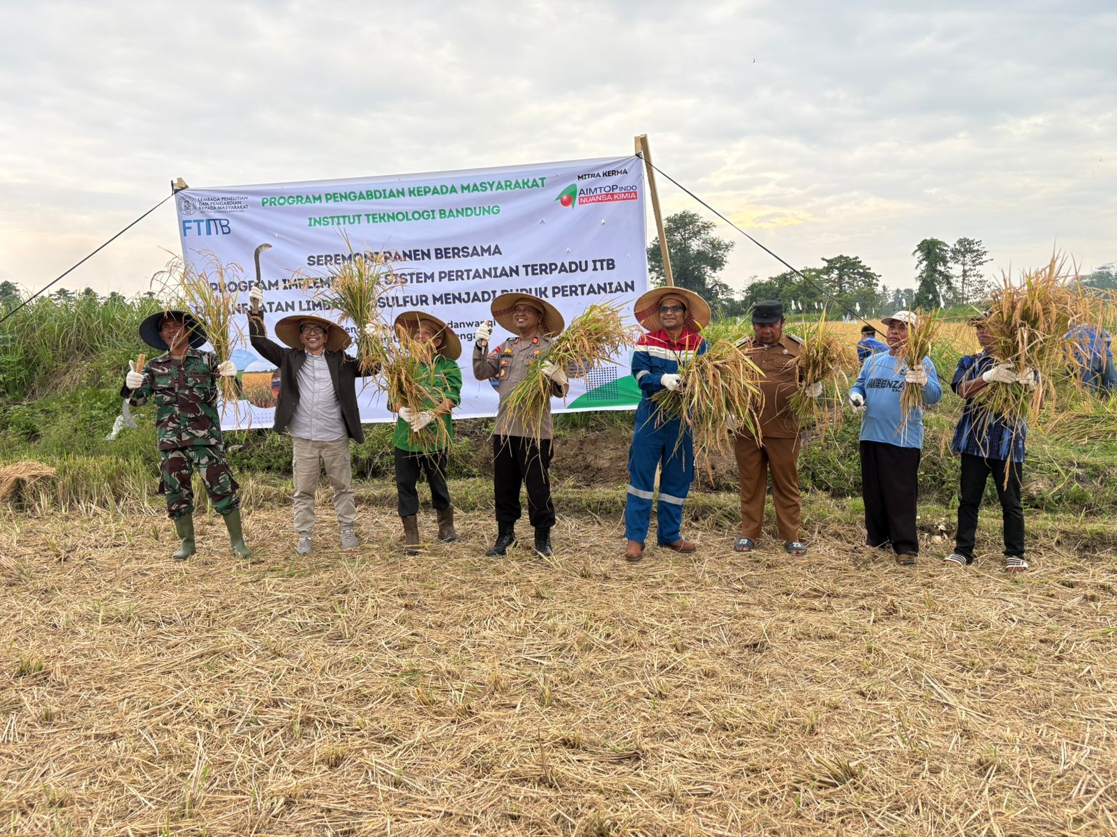 Manfaatkan Limbah Biosulfur Jadi Pupuk, Kapolsek Hadiri Panen Padi di Toili