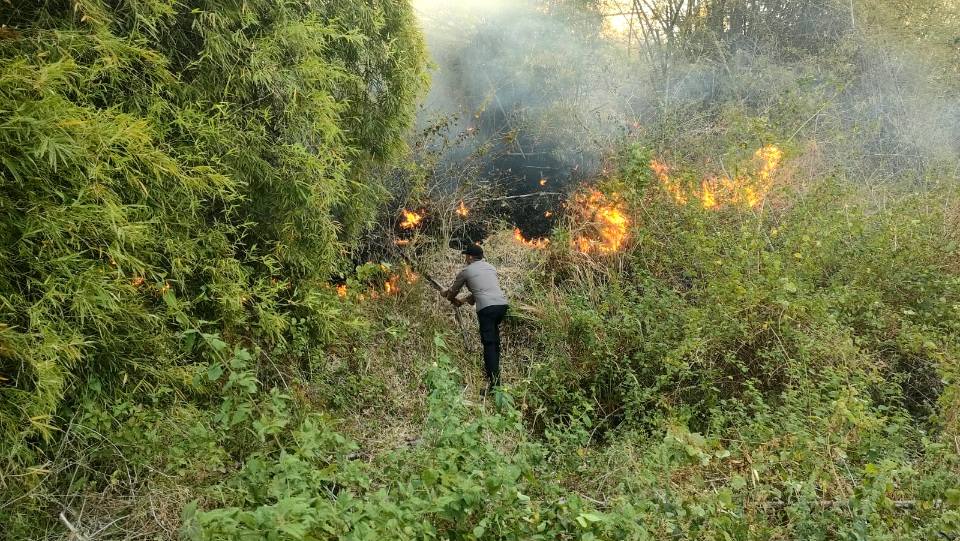 Titik Api Muncul di Areal Pegunungan Tikupon, Polsek Bualemo Berjibaku Padamkan Karhutla