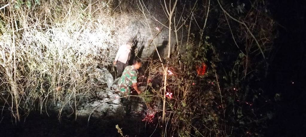 Tiga Titik Karhutla Terjadi di Pegunungan Toipan, Pagimana, Banggai, Polisi Bergerak Cepat